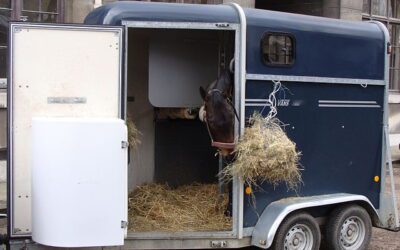 What licence do you need to tow a horse trailer?
