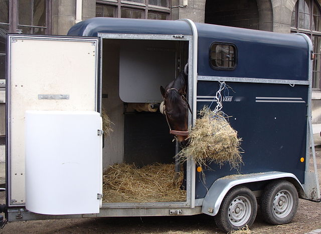 What licence do you need to tow a horse trailer?